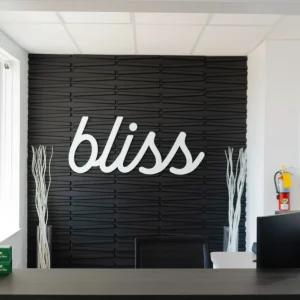Bliss Dental Center office and team St. Charles IL